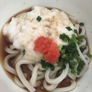 明太とろろうどん